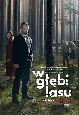 《森林谜案》：迷雾笼罩的真相，颠覆认知的悬疑！当一切看似平常，却暗藏玄机，这场关于“怪人”与“沙拉碗”的深层解读，你敢来吗？