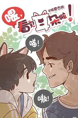 《喂，看见耳朵啦》：跨越物种的暖心治愈，猫耳少年与人类少女的奇幻爱恋！