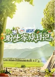 野生家族日记 海报